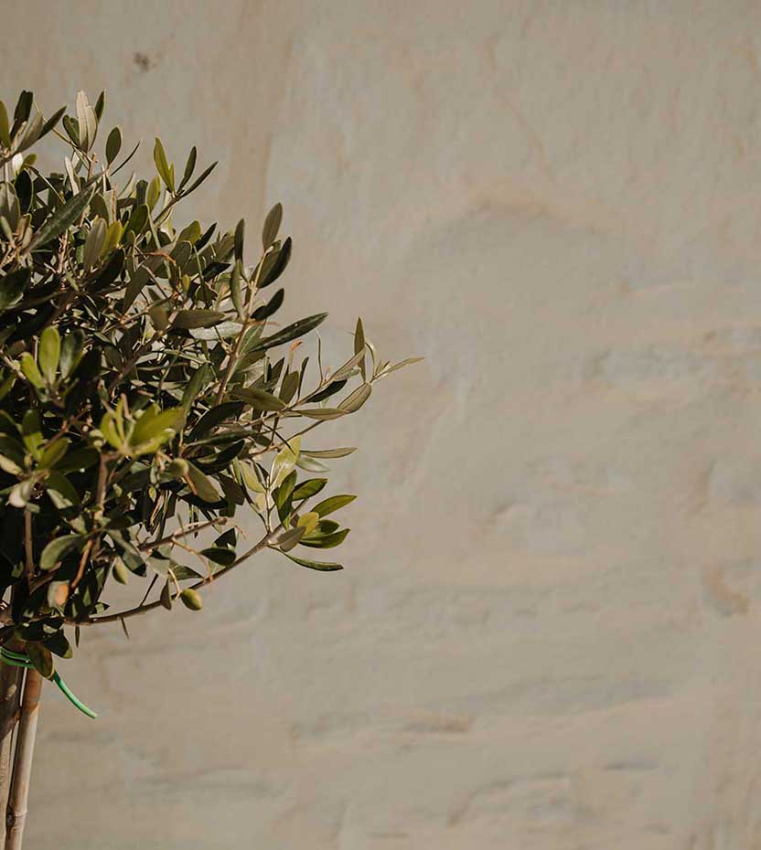 Villa Aelia στη Φολέγανδρο